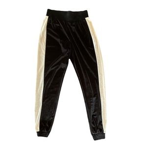 BDG Urban Outfitters Velvet Joggers